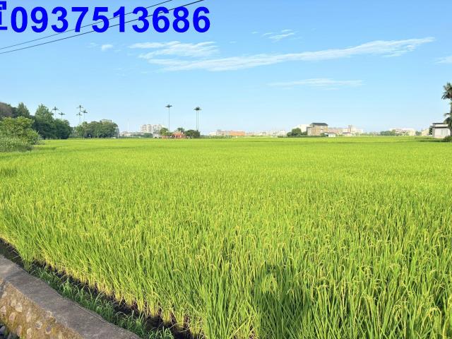 宜蘭市農地-5