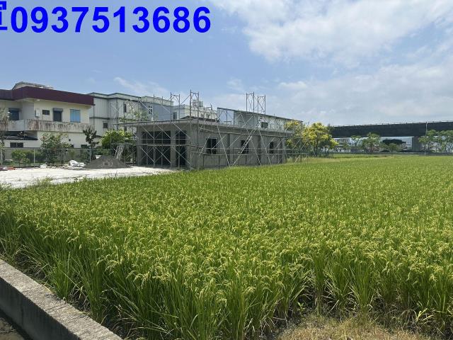 礁溪農地-13
