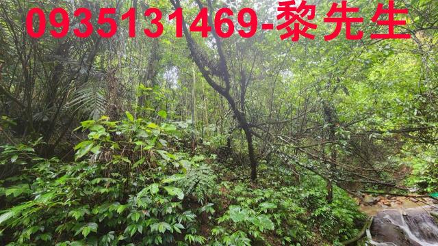 新竹林地新竹橫山林地