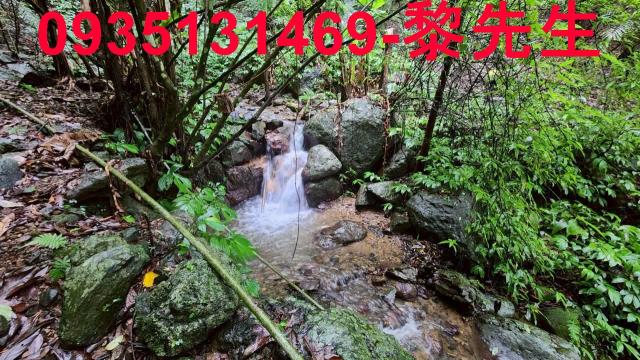 橫山林地-3