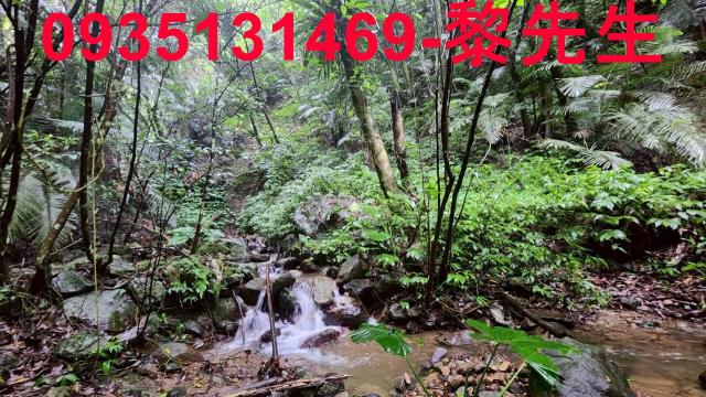 橫山林地-7