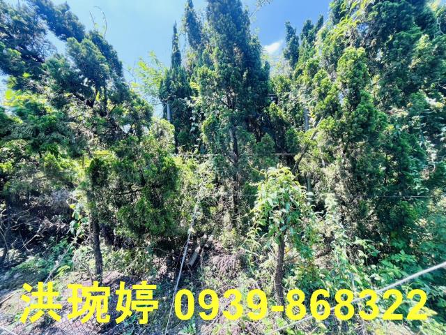 埔心農地-5