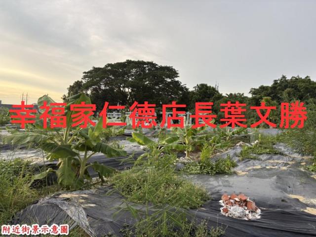 台南農地-2