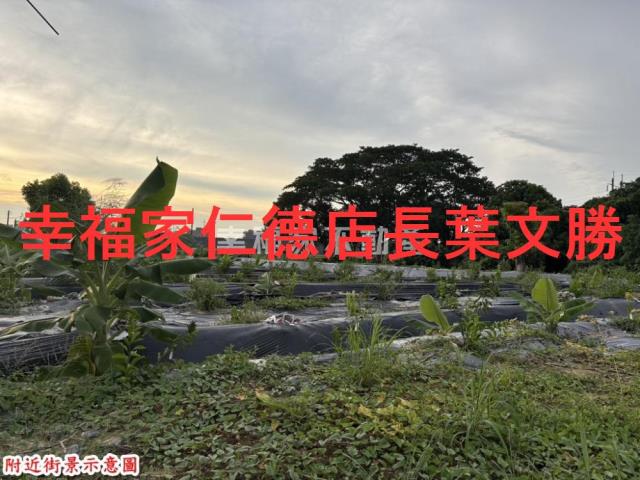 台南農地-6
