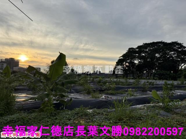 台南農地-10