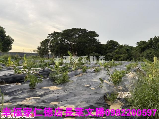 台南農地-13