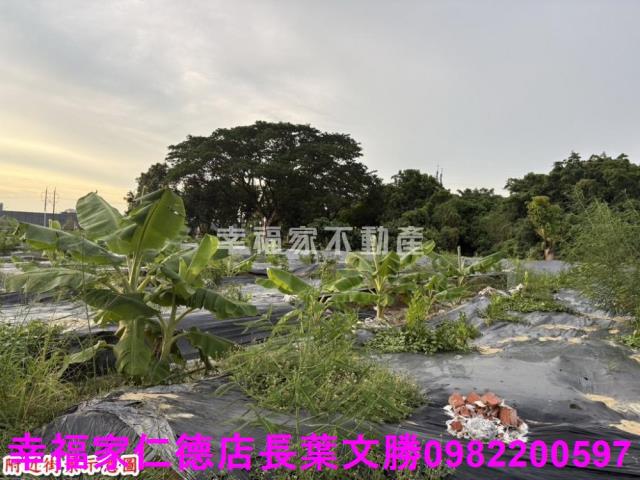 台南農地-0