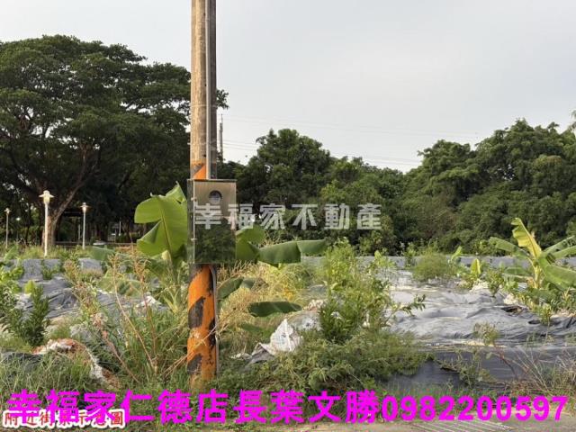 台南農地-3