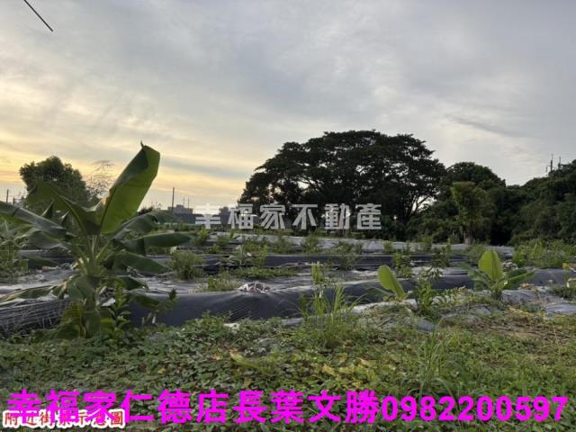 台南農地-4