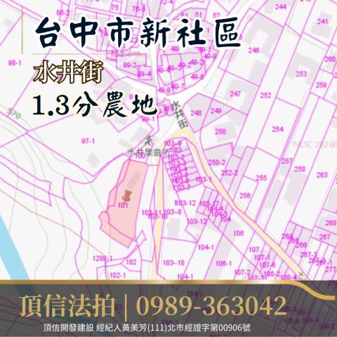 台中拍賣農地-3