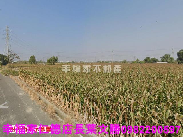 台南農地-1
