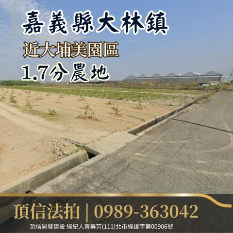 嘉義大林農地法拍-0