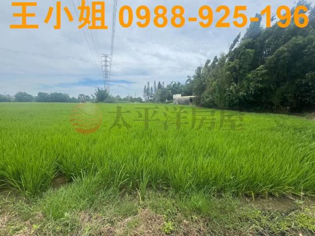 桃園楊梅農地-11