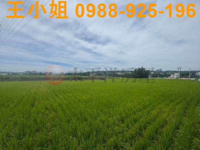 桃園楊梅農地-13
