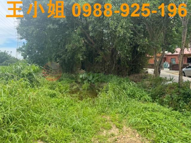 桃園楊梅農地-5