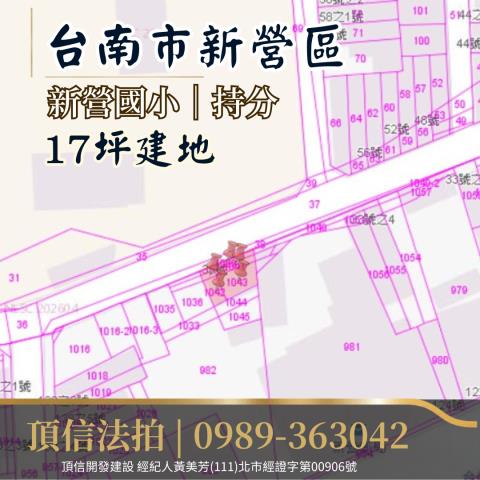 台南新營建地拍賣-3