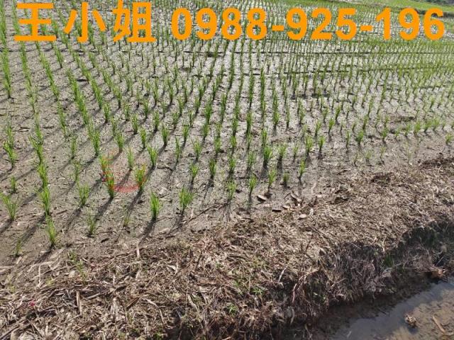 萬能科大旁10米路旁都計內農地