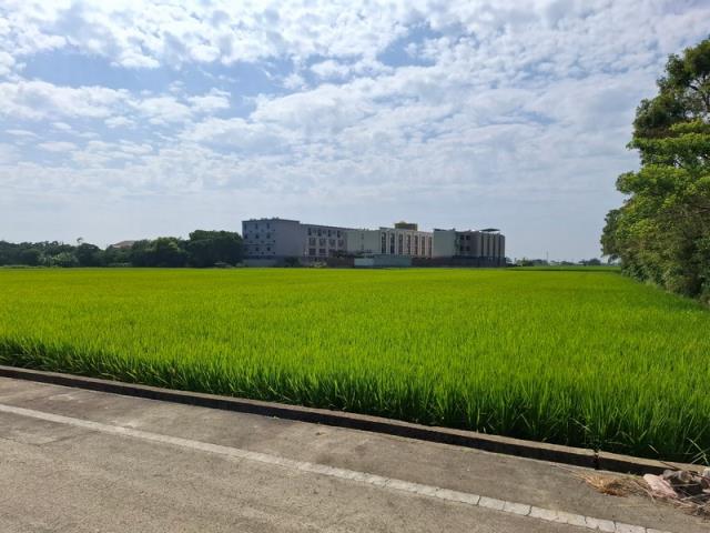 桃園新屋農地-4