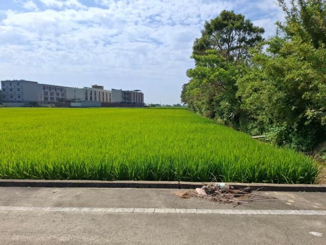 桃園新屋農地-5