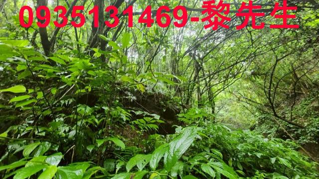 新竹縣橫山鄉農地建地林地