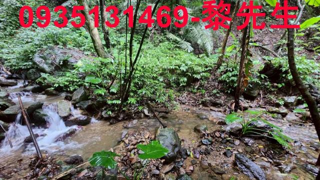 新竹橫山林地-5