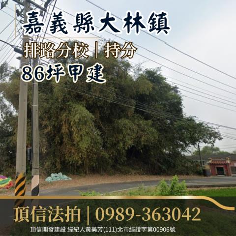 大林法拍建地-0