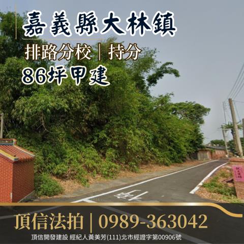 大林法拍建地-1