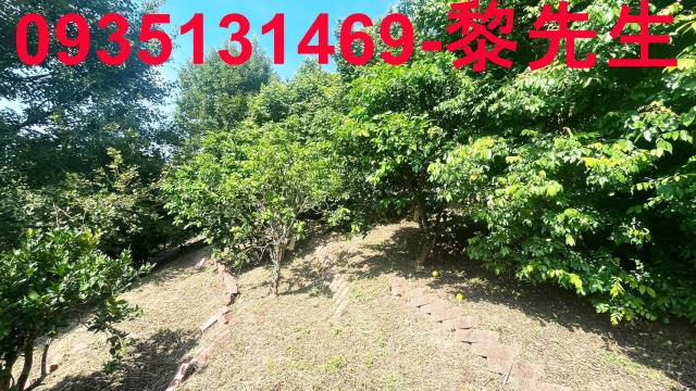 新埔農地-1