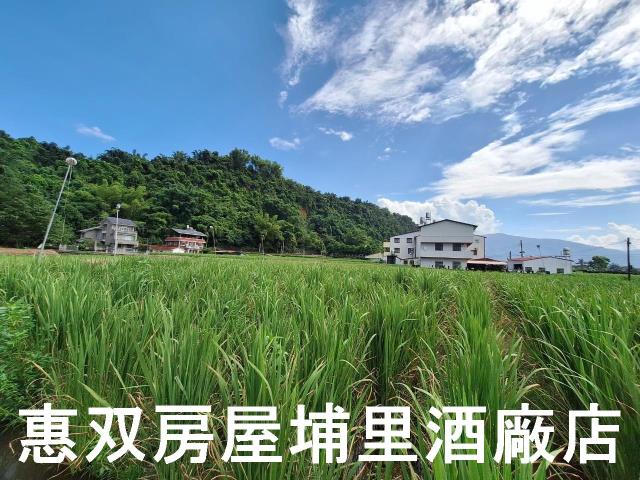 埔里農地-2