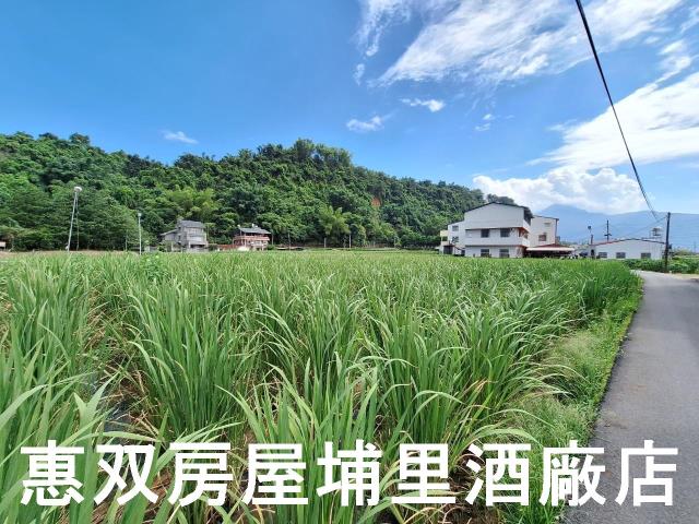 埔里農地-3
