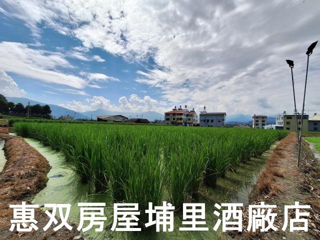埔里農地-4