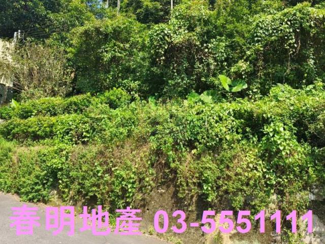 新竹竹科森態村橫山竹科森態村台三線竹科森態村
