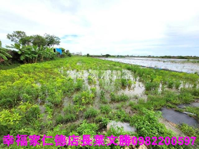 台南農地-13