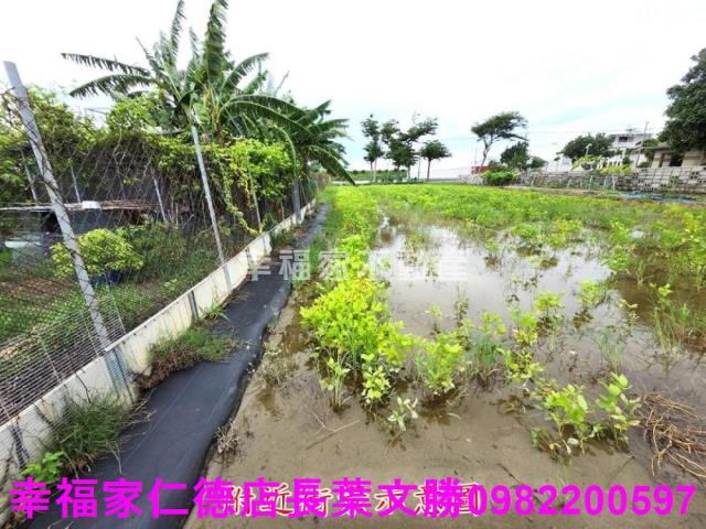 台南農地-14