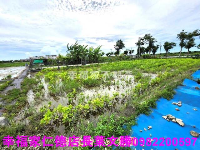 台南農地-4