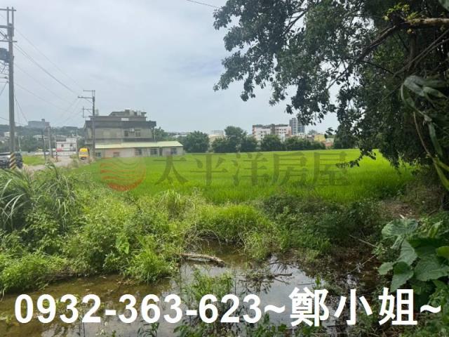 桃園農地-14