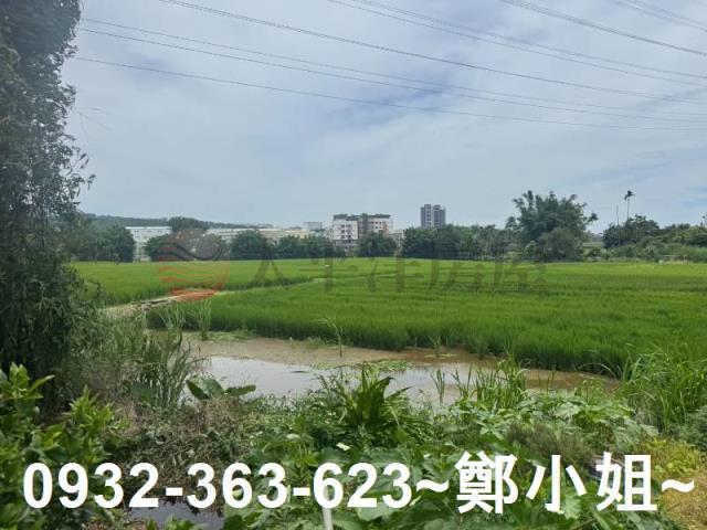 桃園農地-3