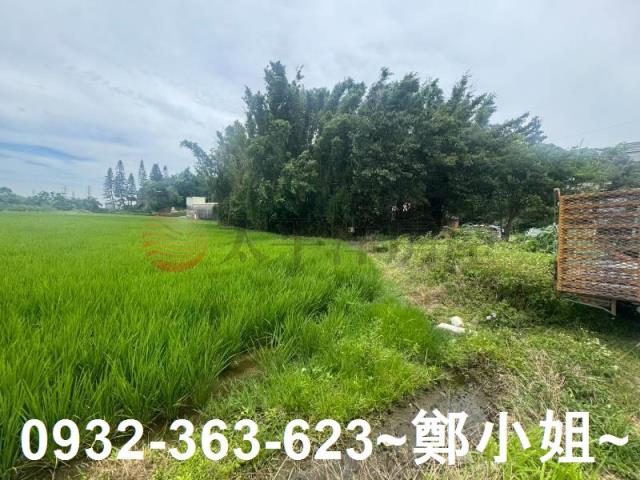 桃園農地-8
