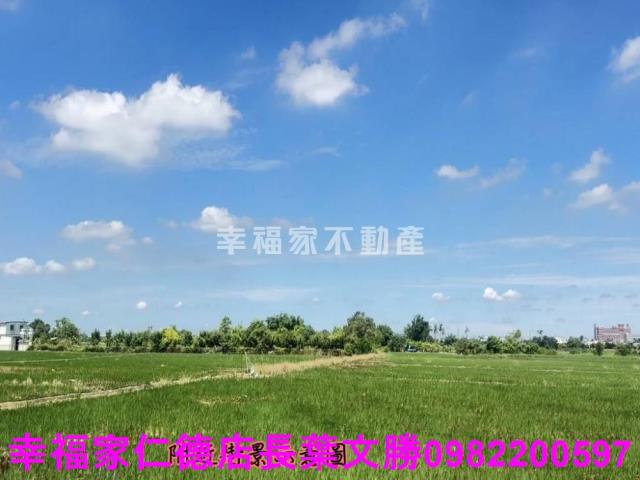 台南柳營農地-12
