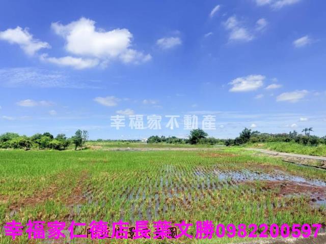 台南柳營農地-13