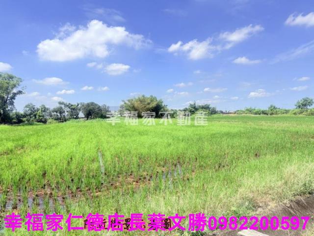 台南柳營農地-14