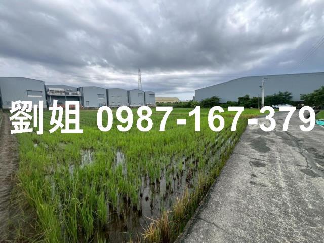 高雄仁武農地-0