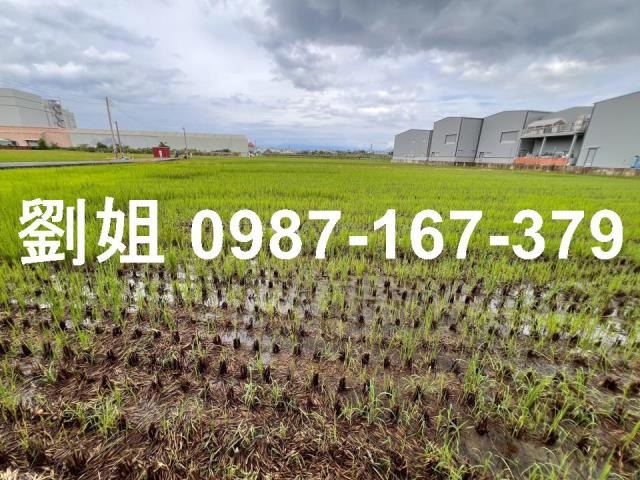 高雄仁武農地-1
