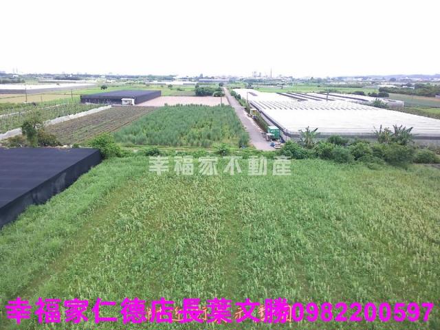 台南新市農地-2