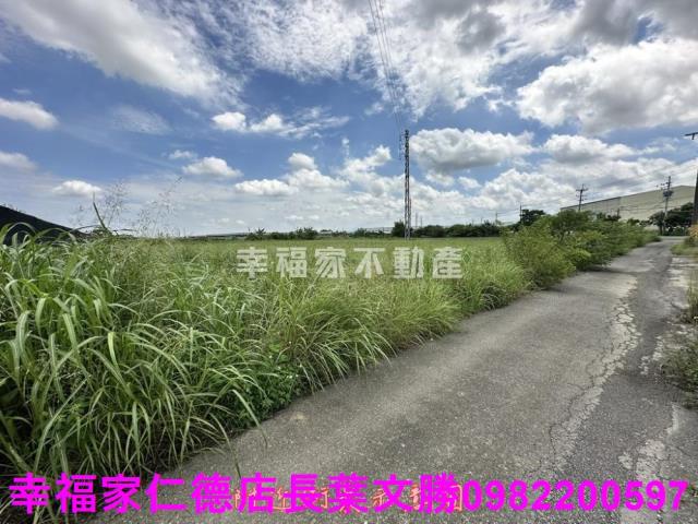 台南新市農地-5