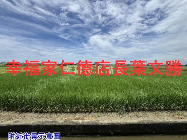 台南佳里農地-6