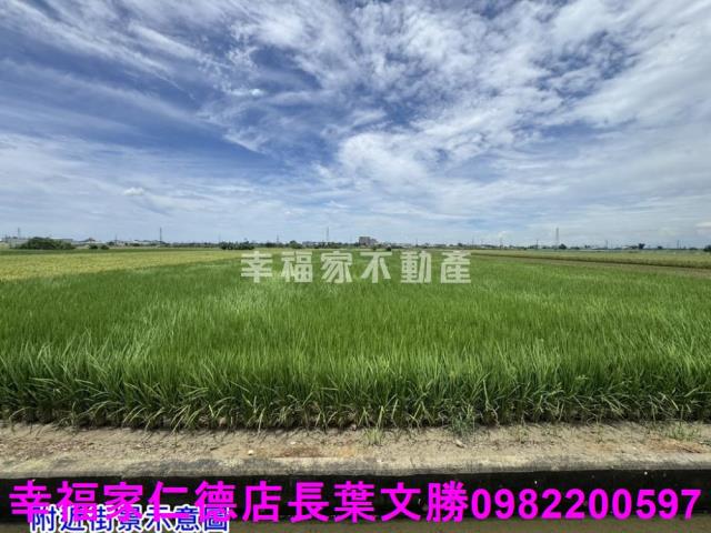 台南佳里農地-6