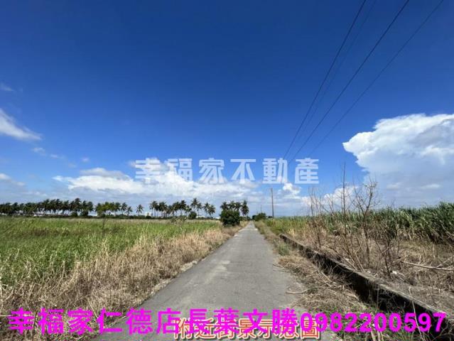 台南新市農地-10