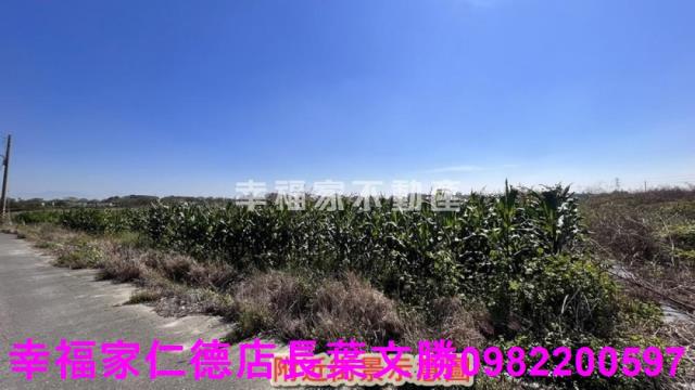 台南新營農地-1