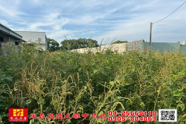 台中大雅農地-1